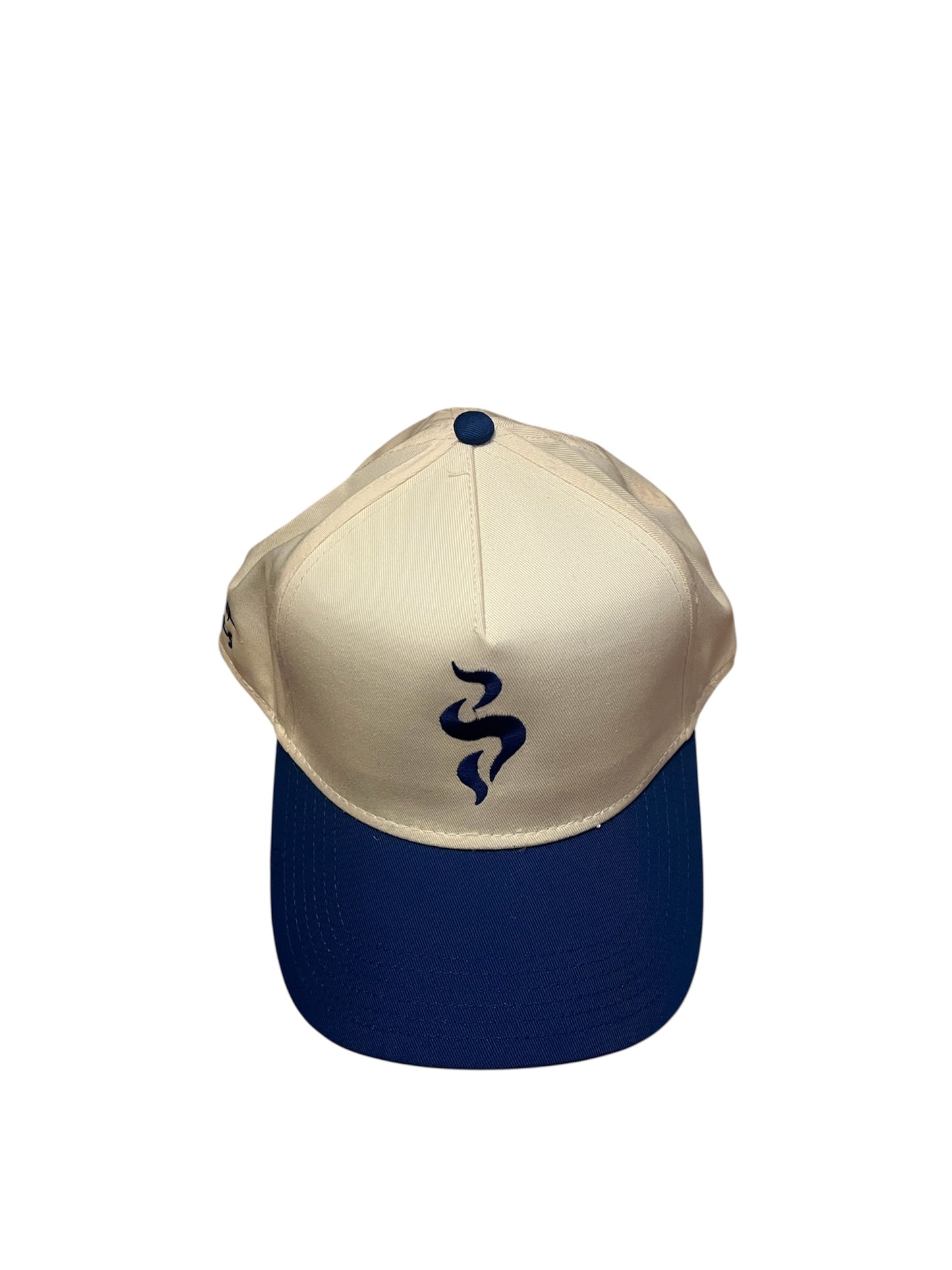 SFTS SNAPBACK
