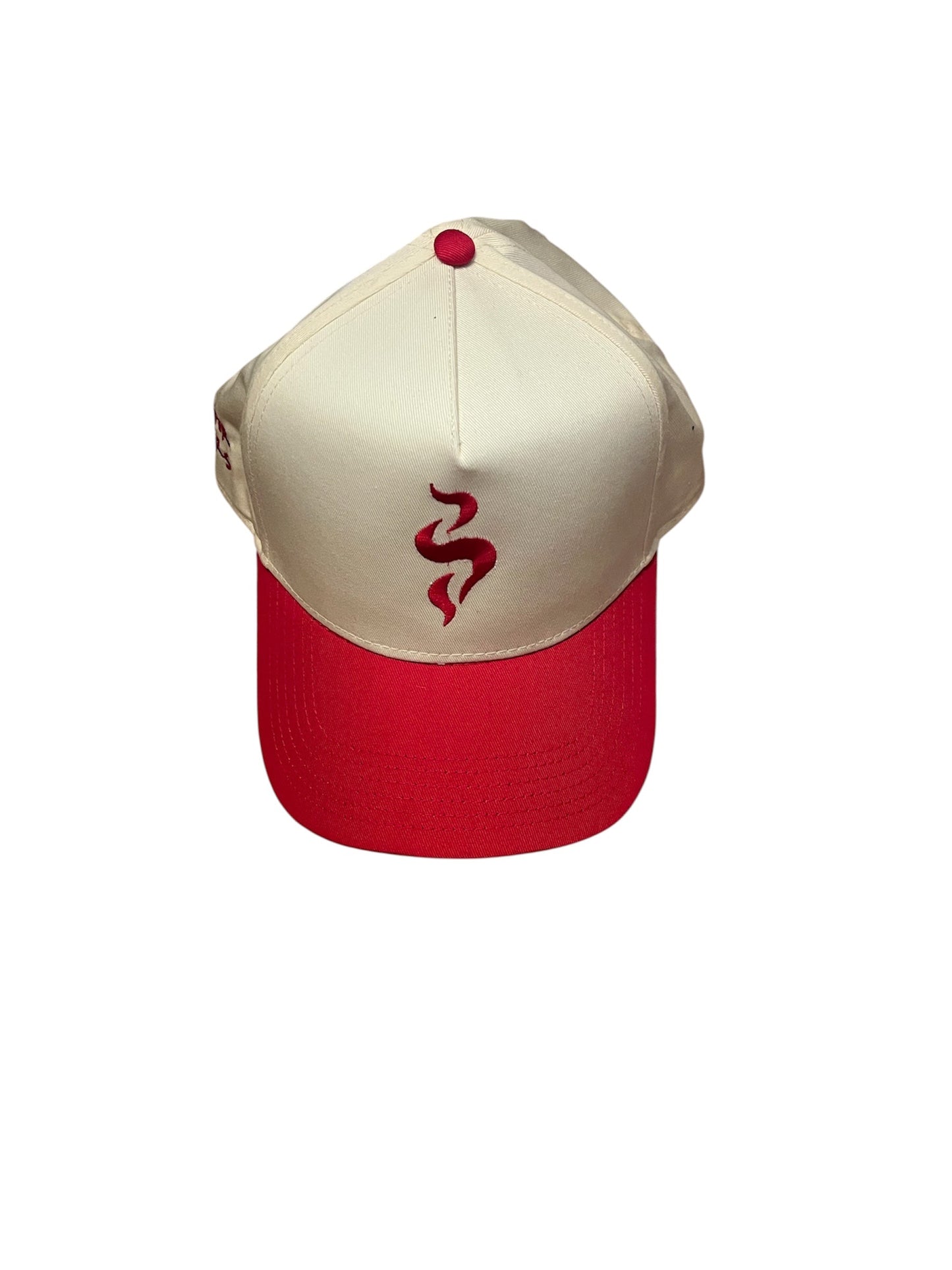 SFTS SNAPBACK