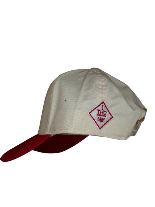 SFTS SNAPBACK